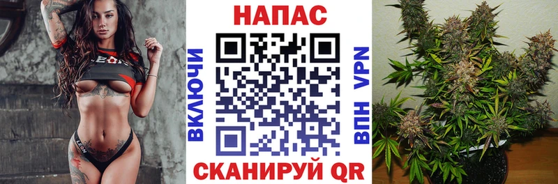 Купить закладки  Каменск-Шахтинский  Бошки Шишки Ganja 